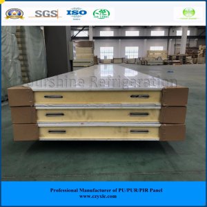 Polyurethane Sandwich Panel / Insulated Panel / PU Sandwich Panel