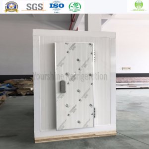 ISO, SGS 50mm PIR Cold Room for Meat/ Vegetables/ Fruit